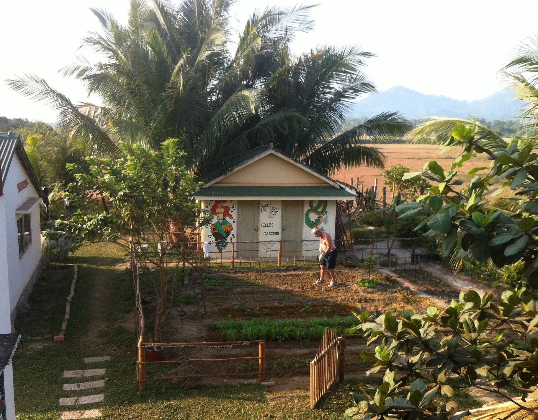 un potager permet d’initier les enfants aux productions locales