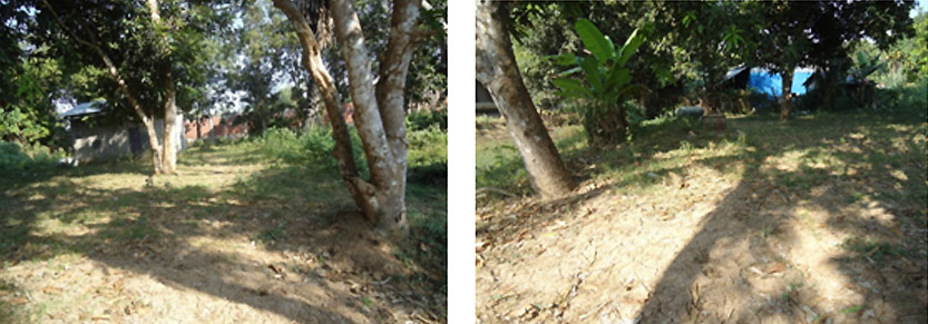 Photos du terrain